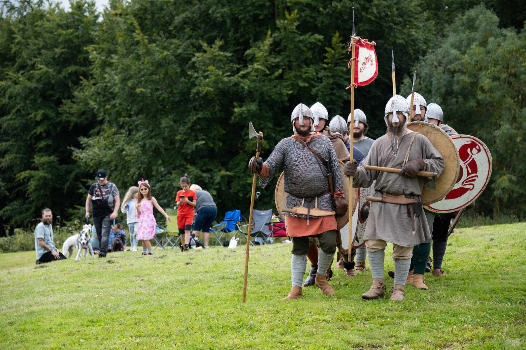 Hero Image, a shield wall